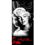 Froté Plážová osuška 70x140cm BT116